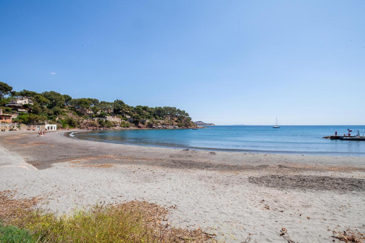 T2 - La Seyne Sur Mer - Fabregas Zewnętrze zdjęcie